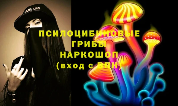 бошки Медвежьегорск