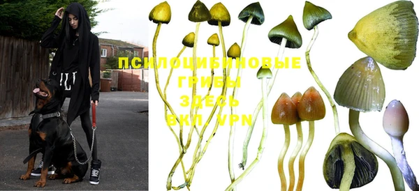 первитин Мегион