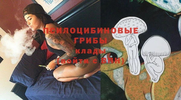 бошки Медвежьегорск