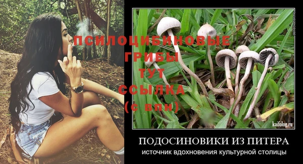 бошки Медвежьегорск