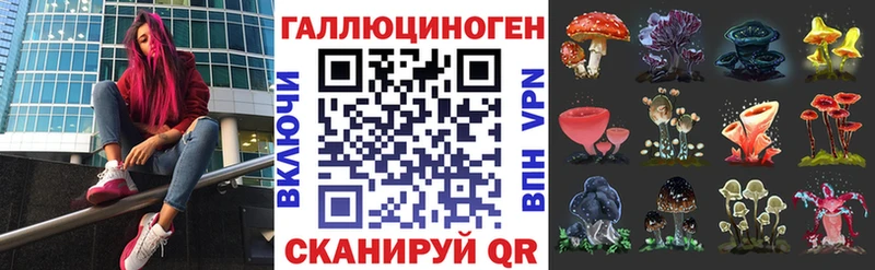 Галлюциногенные грибы Cubensis  где продают наркотики  Ковров 