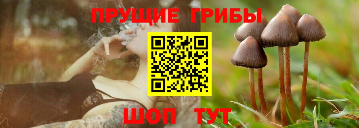Галлюциногенные грибы прущие грибы Ковров