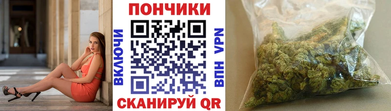 Конопля сатива Ковров